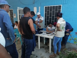 Actividades de p y p